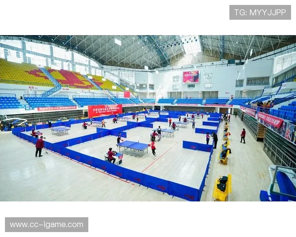 乒乓球运动的魅力与发展探索全民健身时代的竞技与文化融合