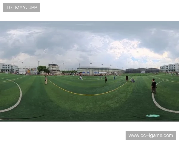 聚焦当代足球运动员成长之路与职业生涯巅峰表现的全方位全景解析