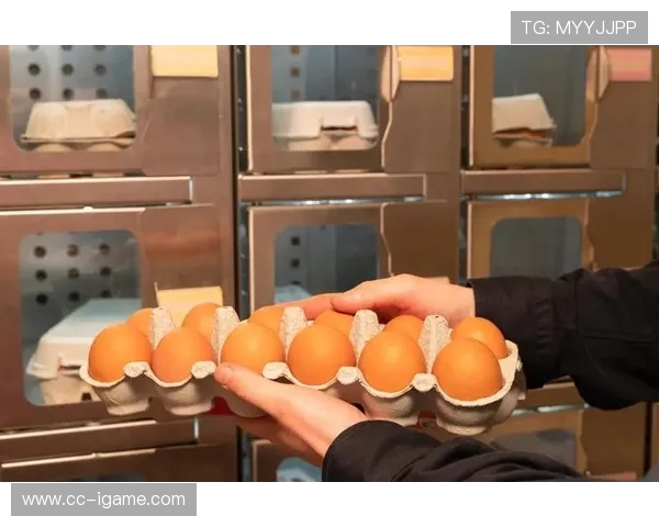 打造强健体魄的健身计划 从基础训练到进阶技巧全方位指南