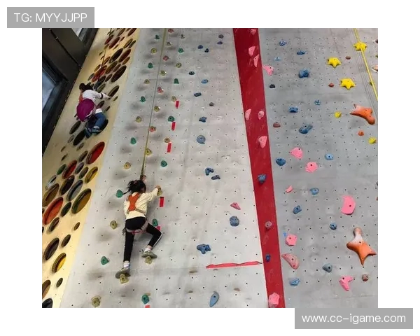 上海攀岩队状态分析与未来发展展望攀岩运动的挑战与机遇