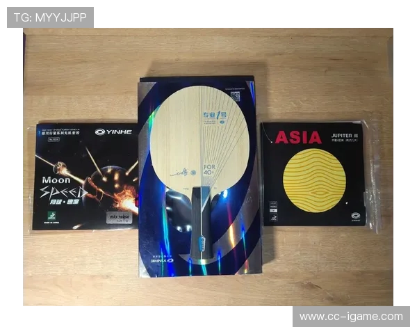 从零基础到高手之路乒乓球速度技巧全面解析与实战应用