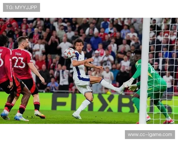 布莱顿与加的夫城激战正酣双方争夺关键积分的精彩对决